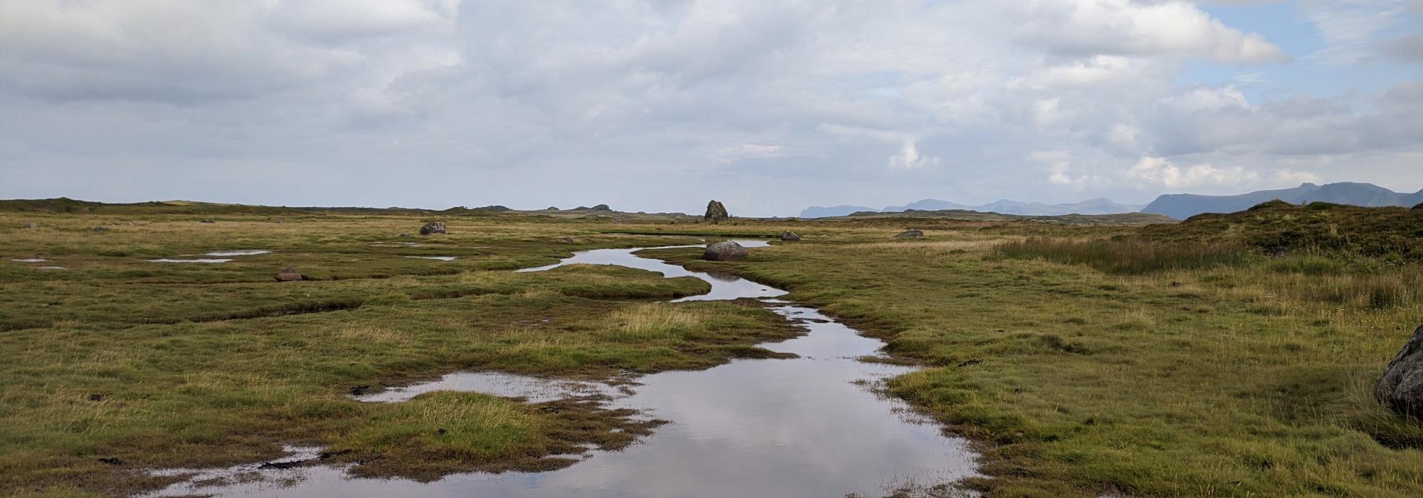 Fugletitting i Grunnfjorden Naturreservert
