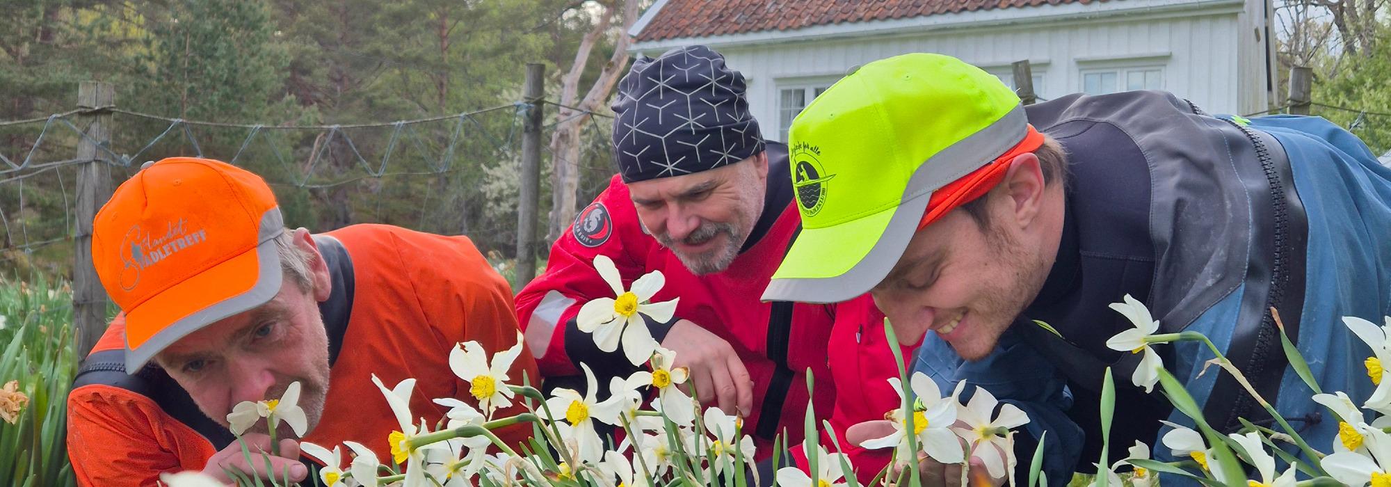 Blomstringspadling til Auesøya