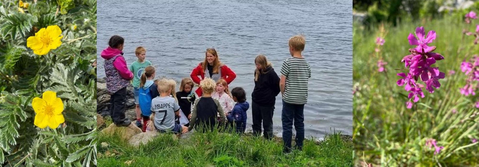 Den store artsjakten. Randvik i Risør