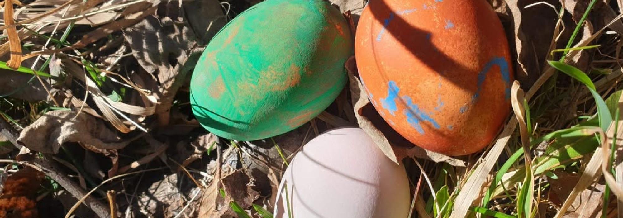 Jakten på påskeegget - Junior edition!