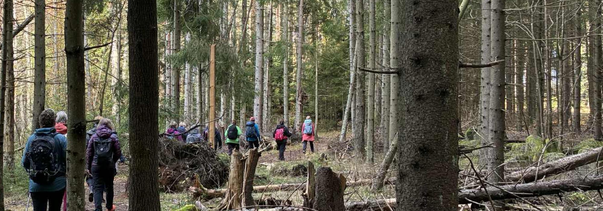 Krefter på tur og stille meditasjonsvandring