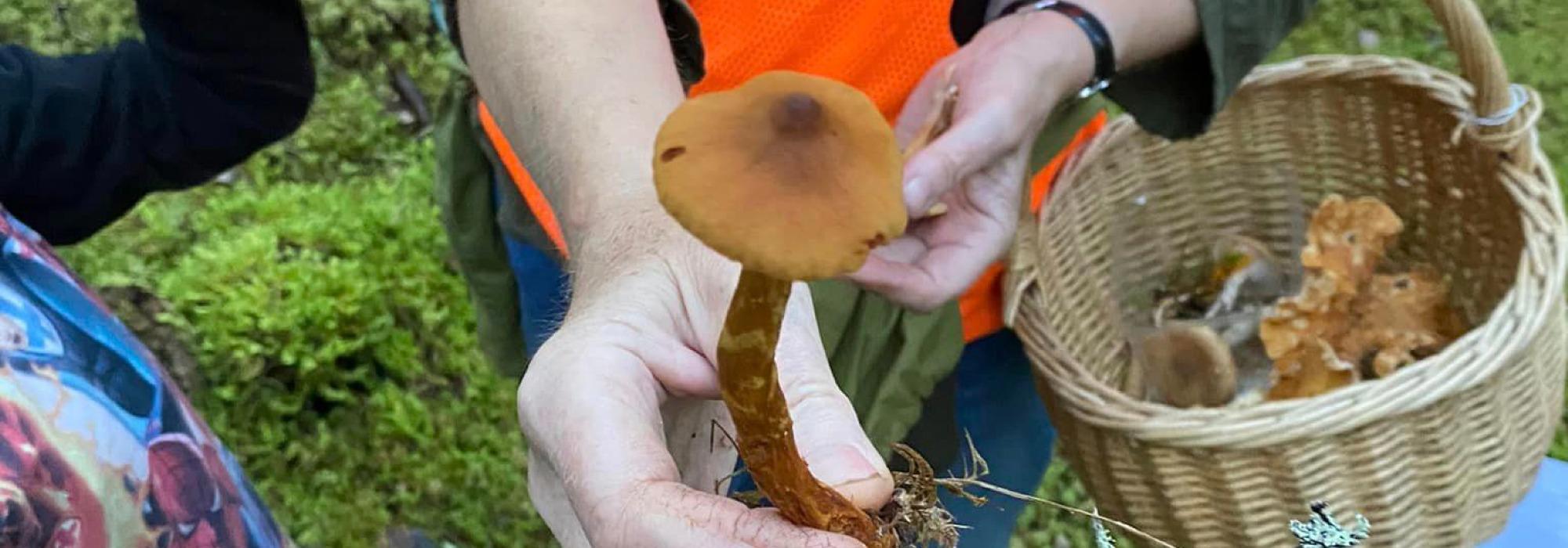 Sopptur med soppkjennar med Barnas Turlag