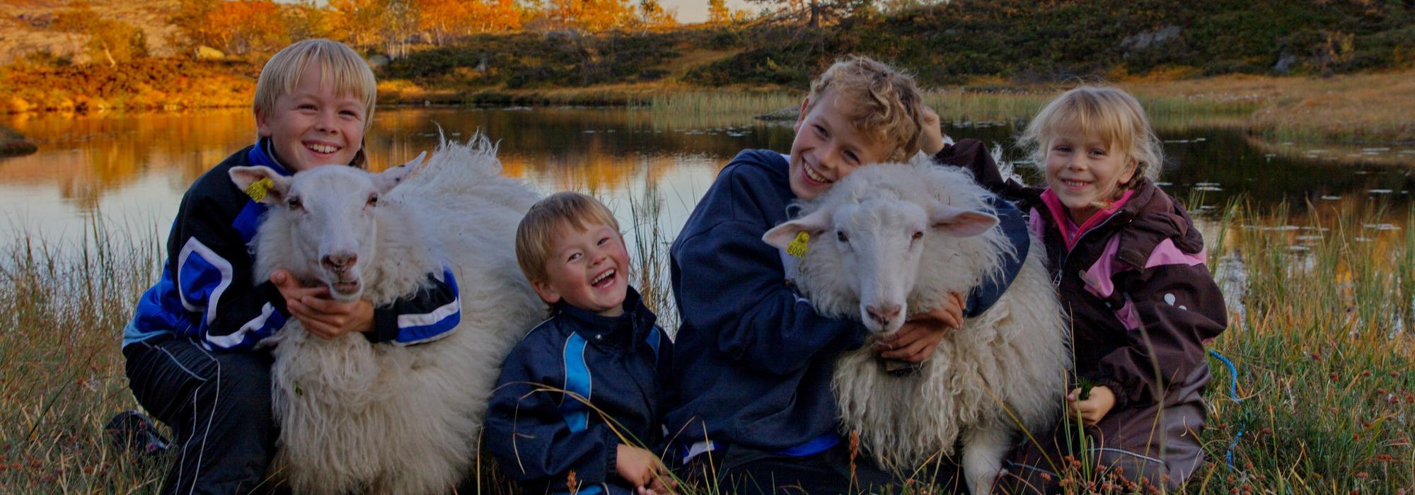Lammebesøk med Barnas Turlag Leikanger