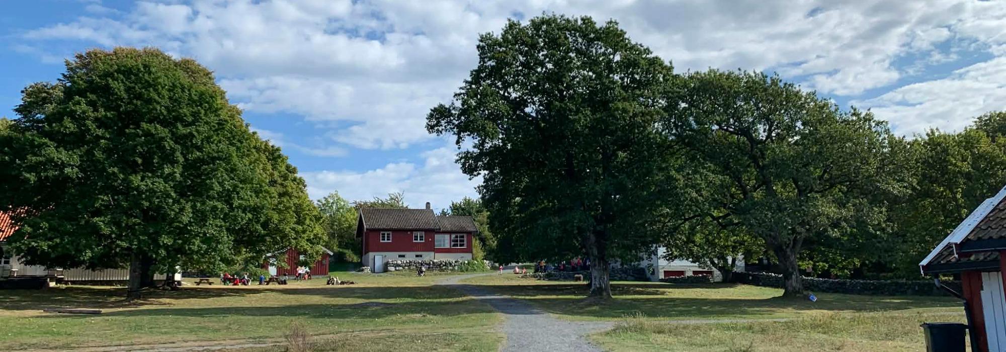 Hvitveistur til Jomfruland med hele familien!