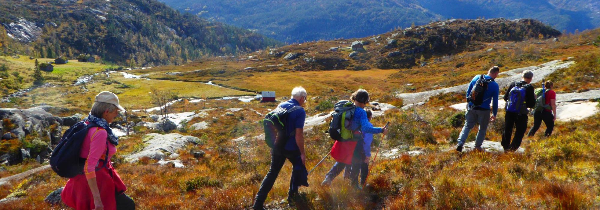 Kveldstur: Tippen under Styveshorgi