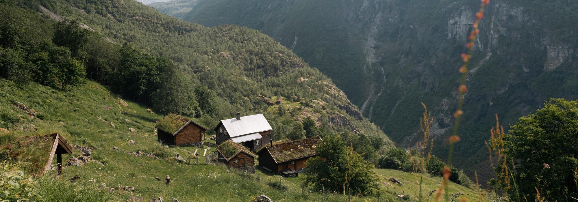 Overnattingstur til Gaularfjellet med Barnas Turlag Leikanger