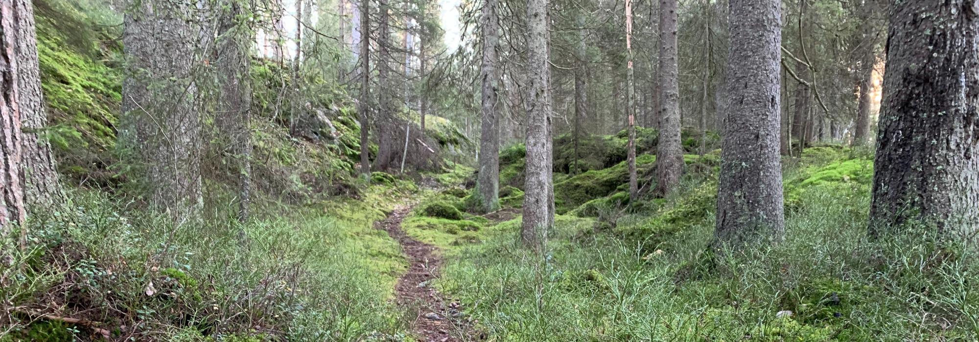 Onsdagstur til Svartåsen, Lørenskog kommunes høyeste punkt