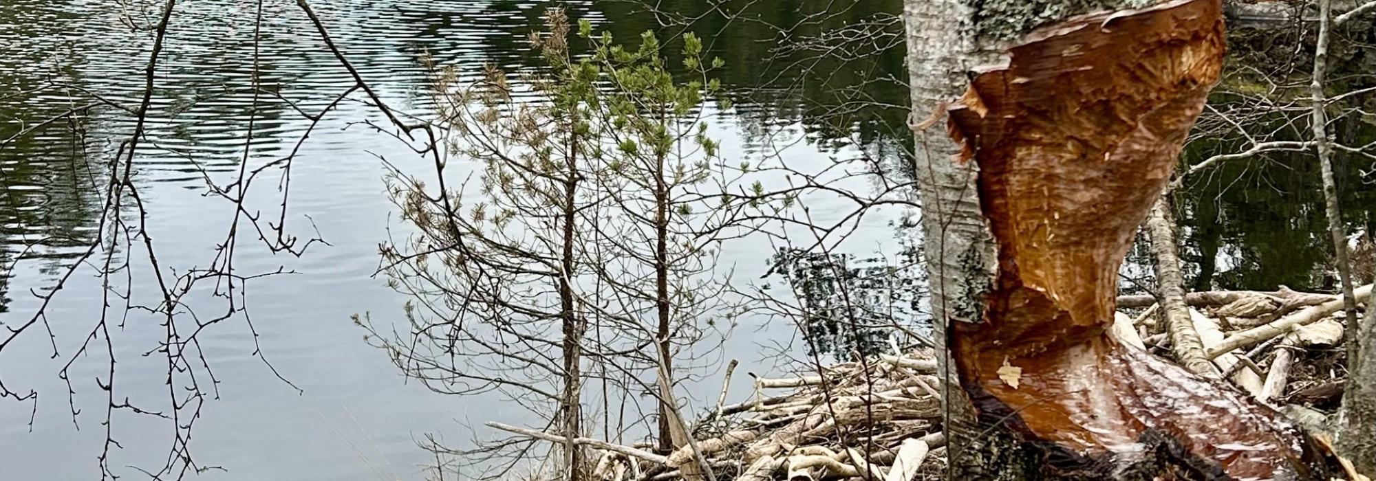 Søndagstur til Lørenskog kommunes mest øde sted