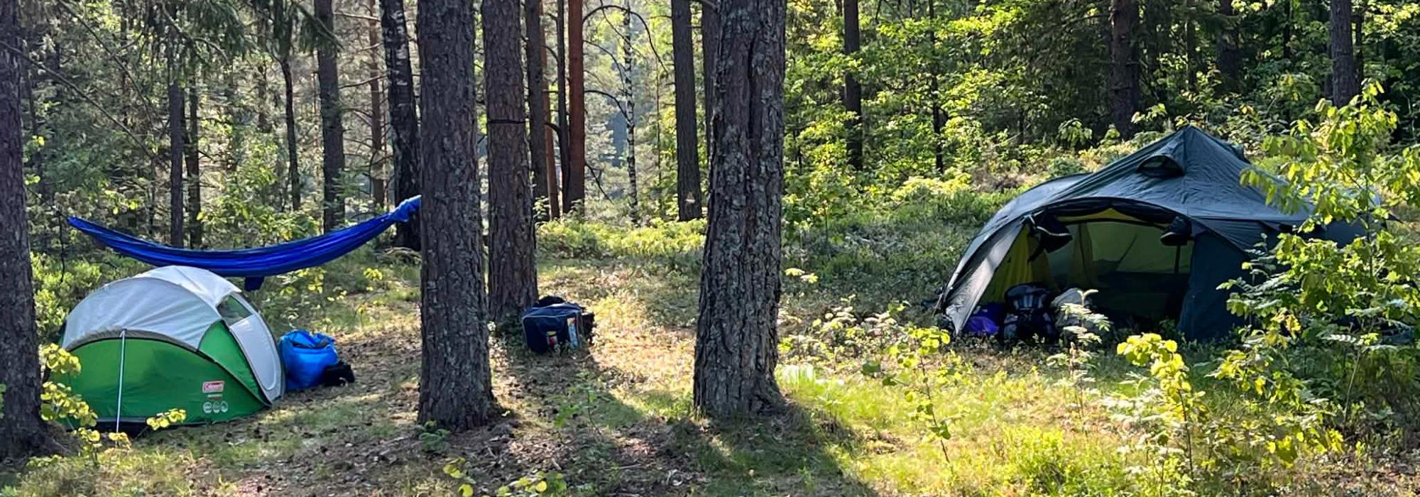 Årets store Overnattingstur
