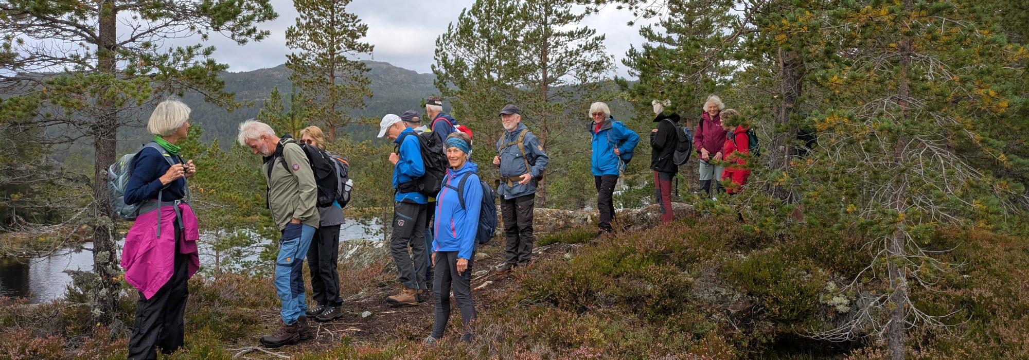Lindemvarden i Sandsvær