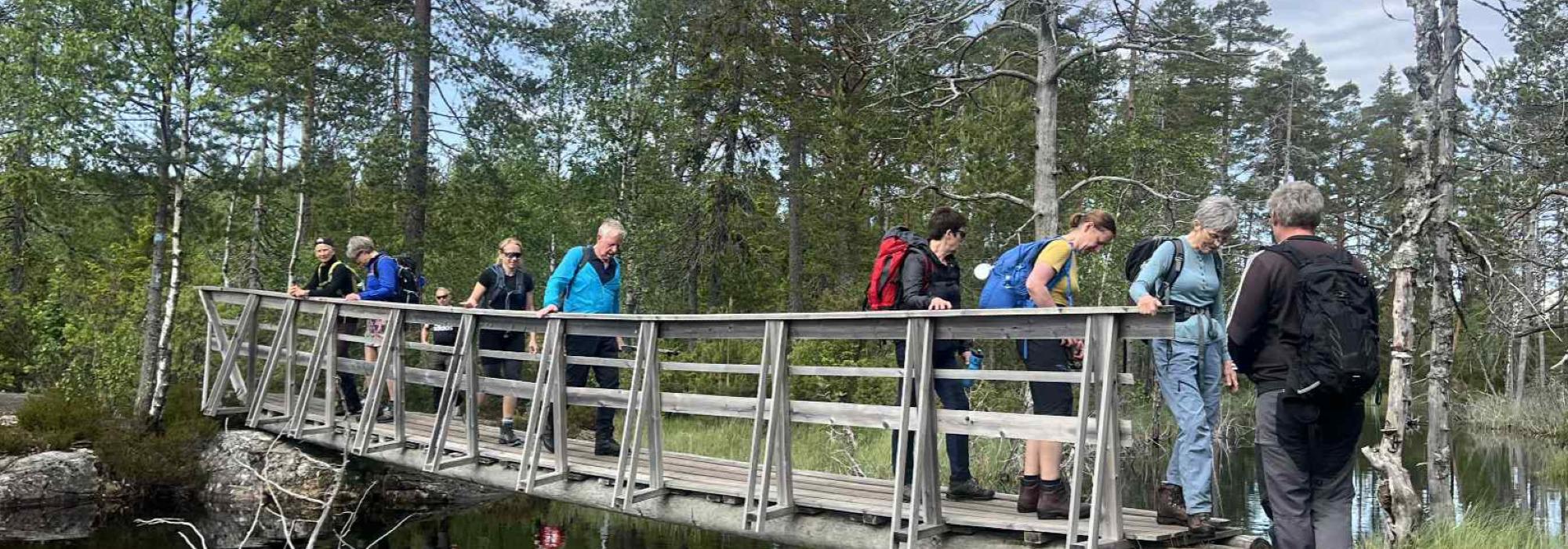 Romeriksåsen på langs - Eltonåsen til Tærudhallen