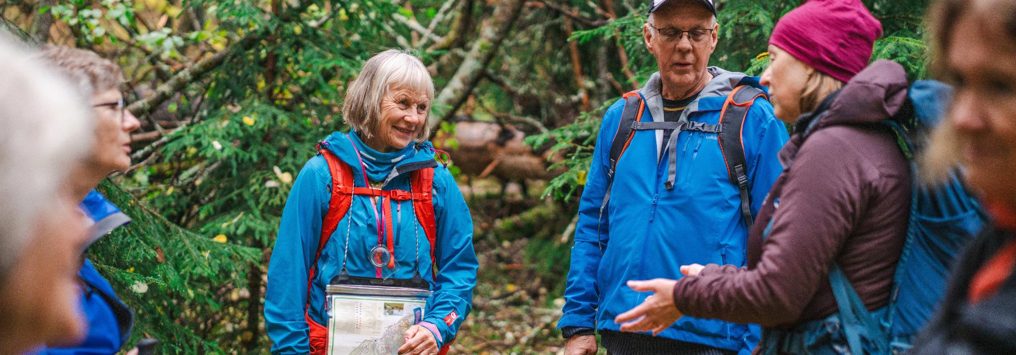 Senior: Kyststi Stavern