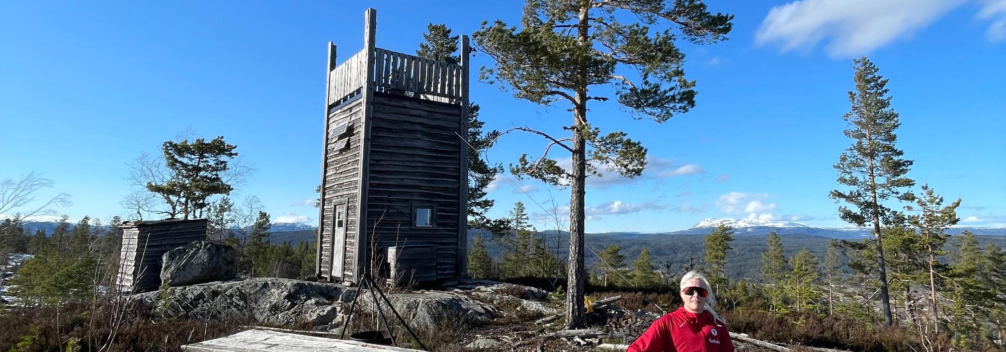 Ettermiddagstur til Hustveitåsen