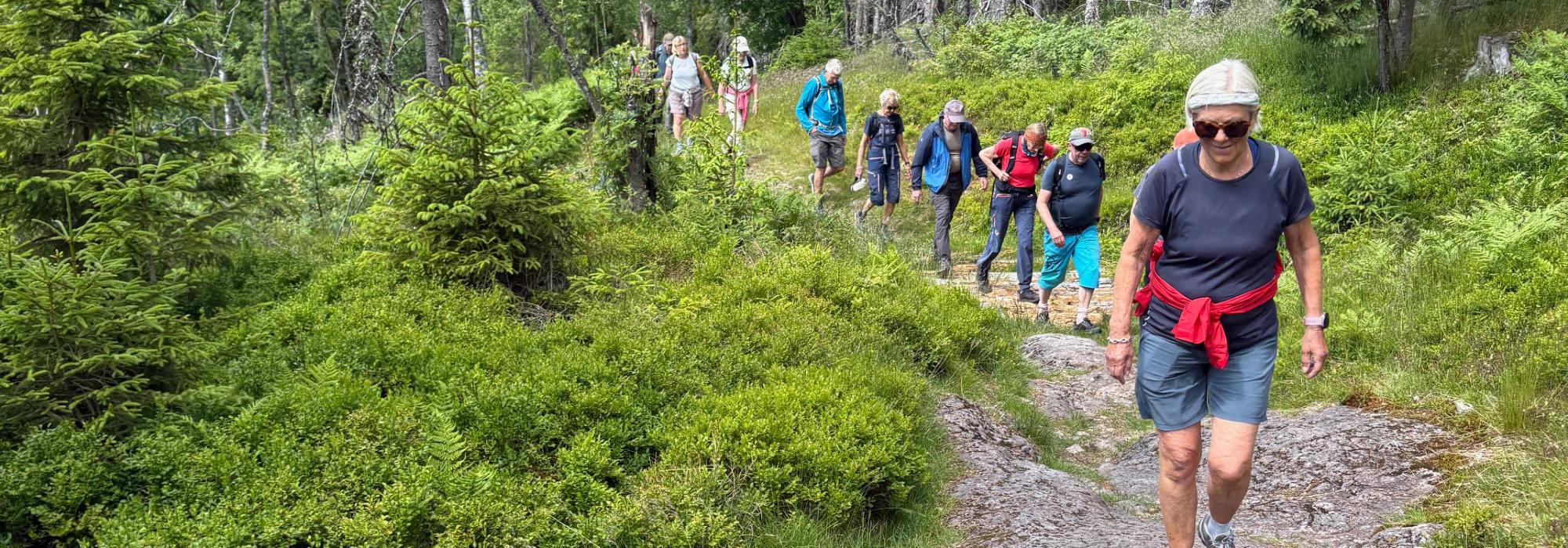 AKTIV I 100 TORSDAGER FRA ØSTERNVANN OG ANDRE STEDER  - 5  års Jubileums tur!