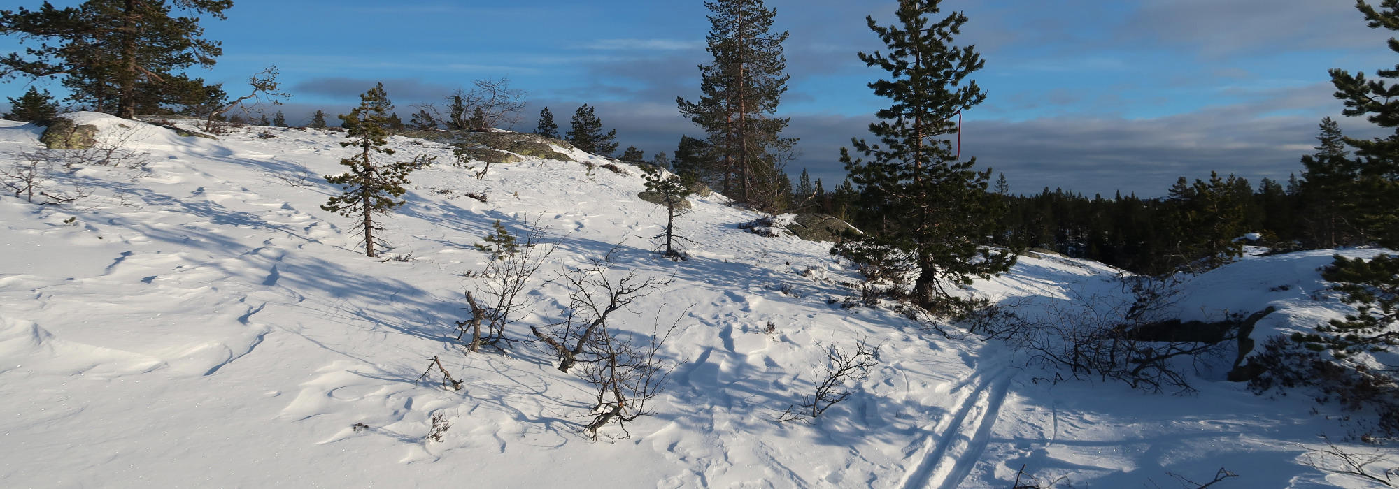 Familietur på ski med skileik, bål og popcorn!