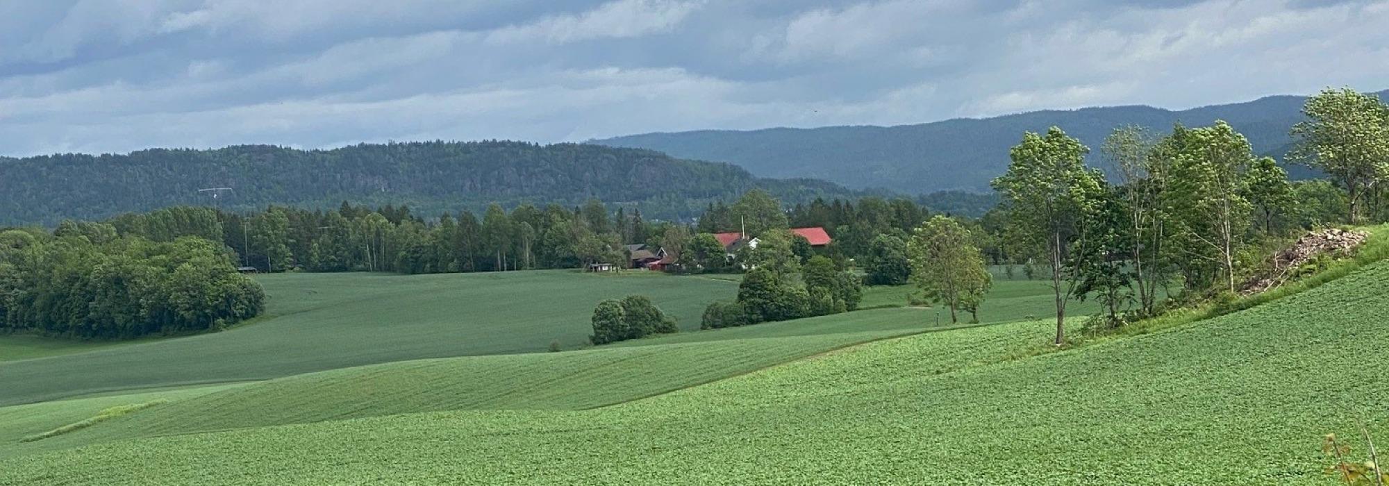 Kulturhistorisk vandring på Tanumplatået