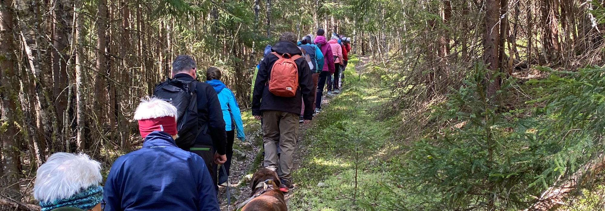 Kveldstur i nærområde - Torsdag 26.mars 2026 kl.18.00
