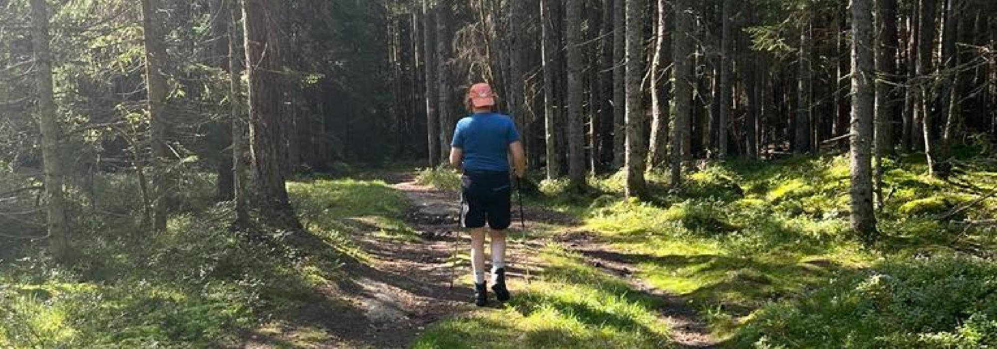 Fra Bergertoppen i Frogn til Jaer skole på Nesodden