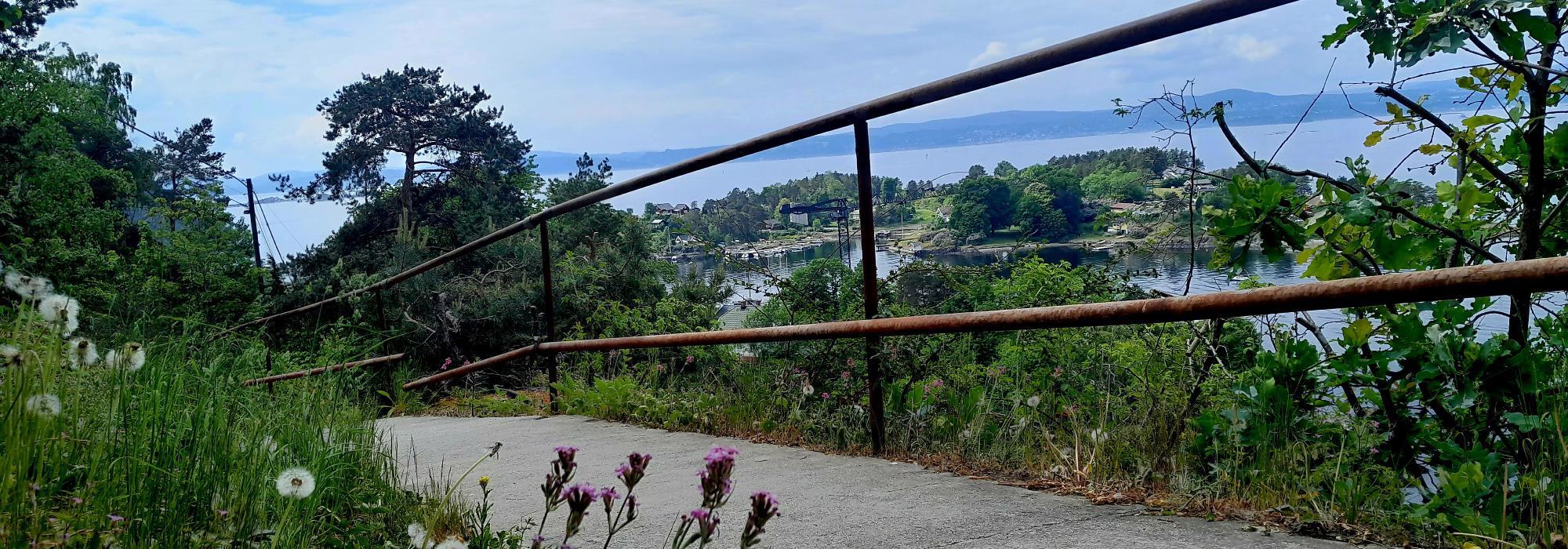 Nesodden i et nøtteskall