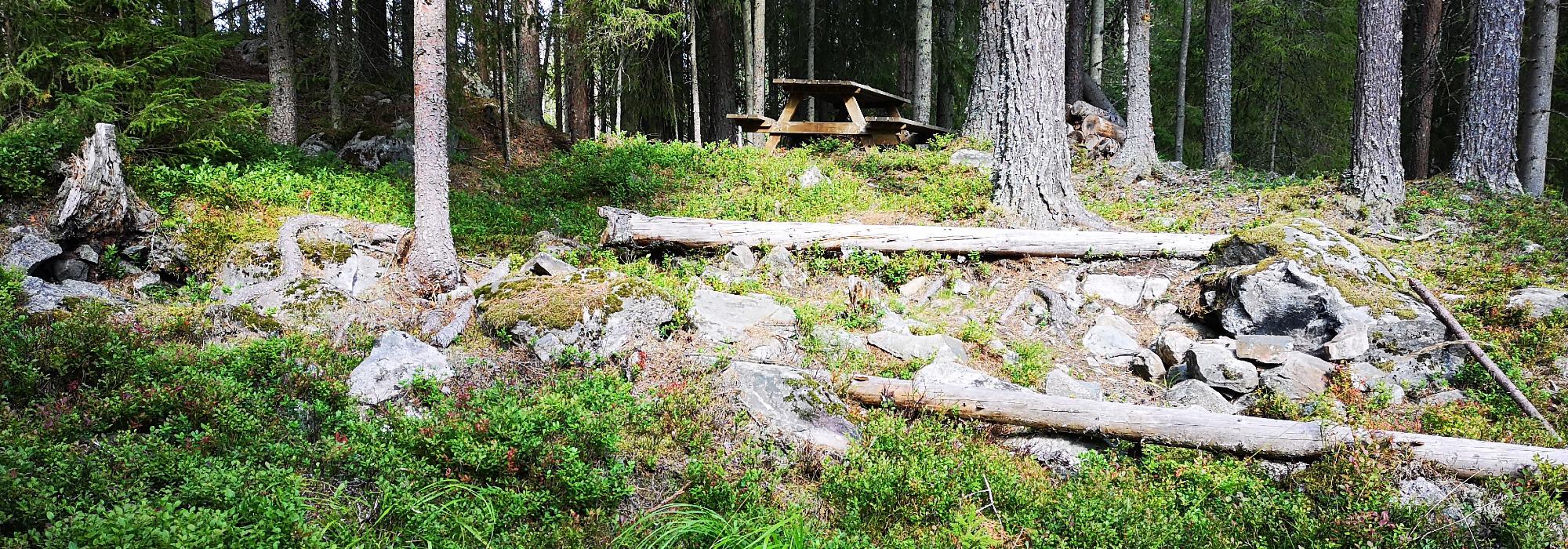 Nytteveksttur i samarbeid med Hexeringen sopp og nyttevekstforening