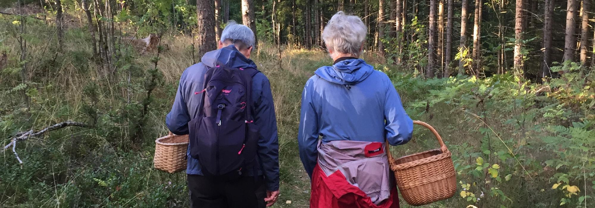 Sanketur i Løten