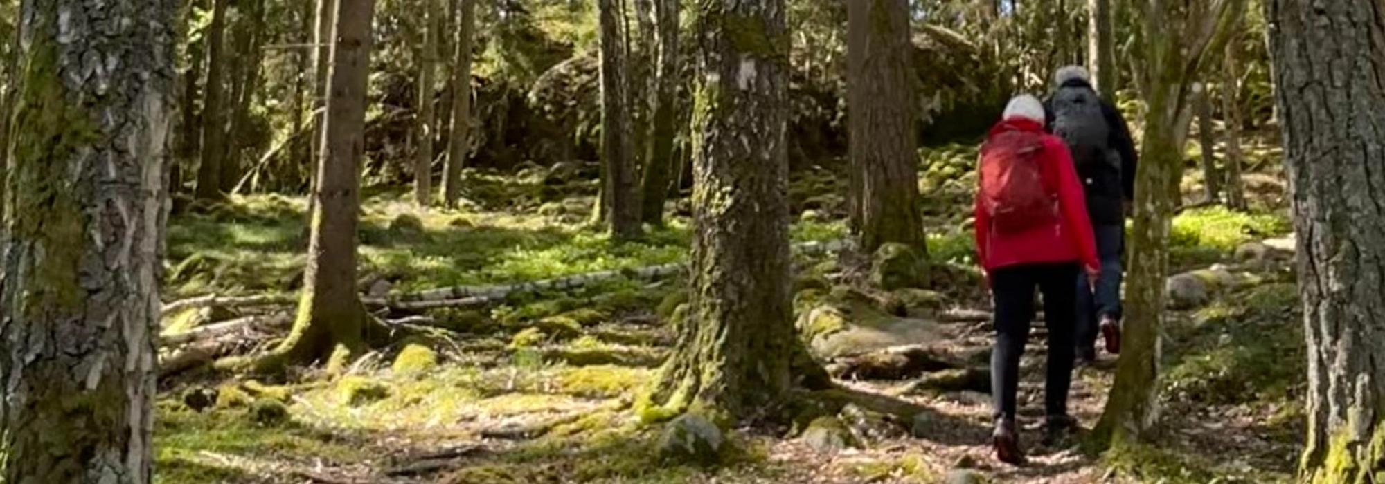 Mandagsturer i sakte fart