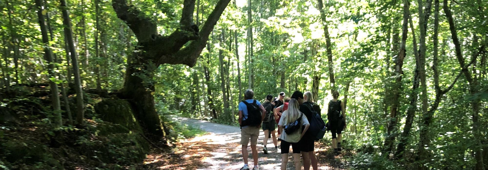 Rundtur i Digerudmarka