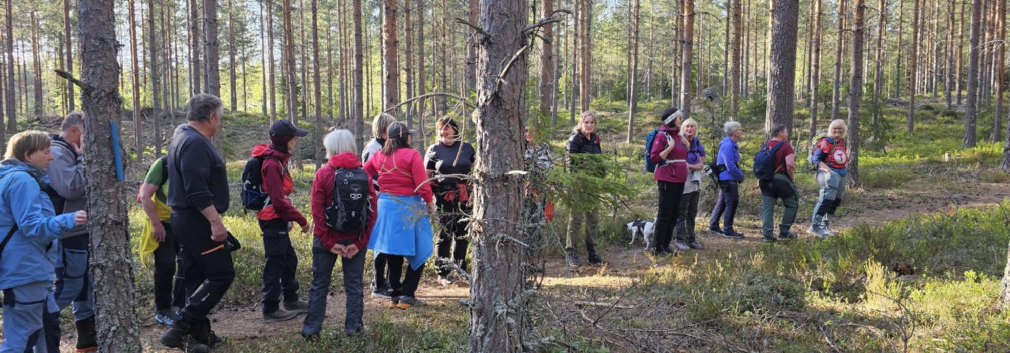 Tirsdagstrampen: Rundtur fra Klevfos
