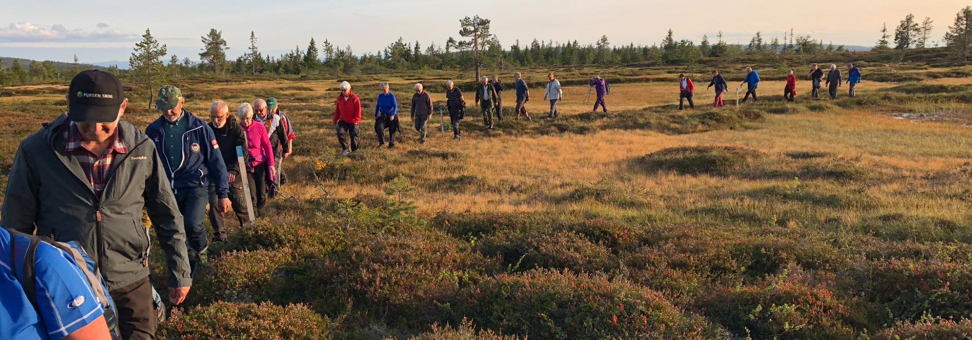 Tirsdagstrampen: Rundtur i Løten med en avstikker til Elverum