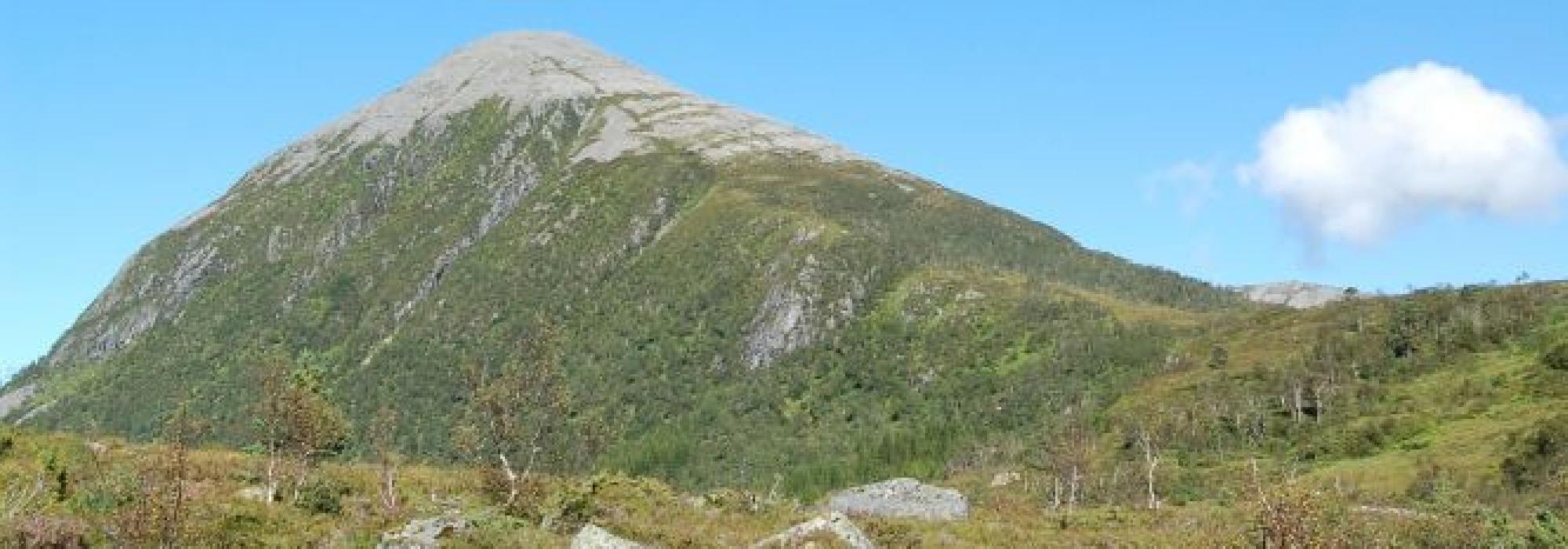 Seniortur til Melen i Fiksdal (Fiksdalshornet)