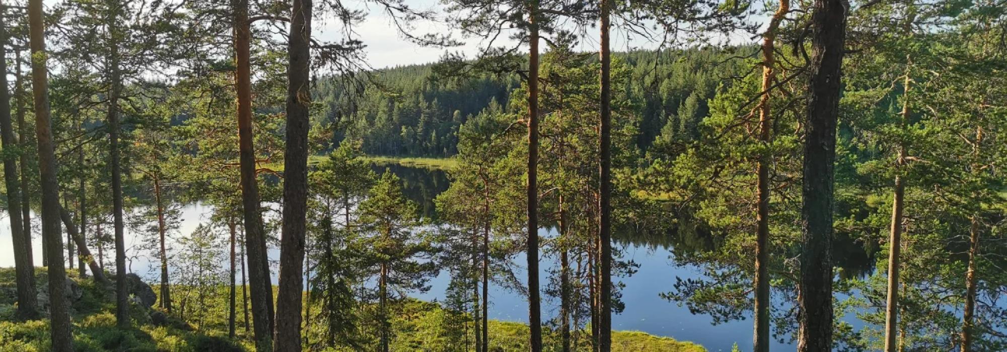 Tirsdagstrampen: Topptur til Sauberget