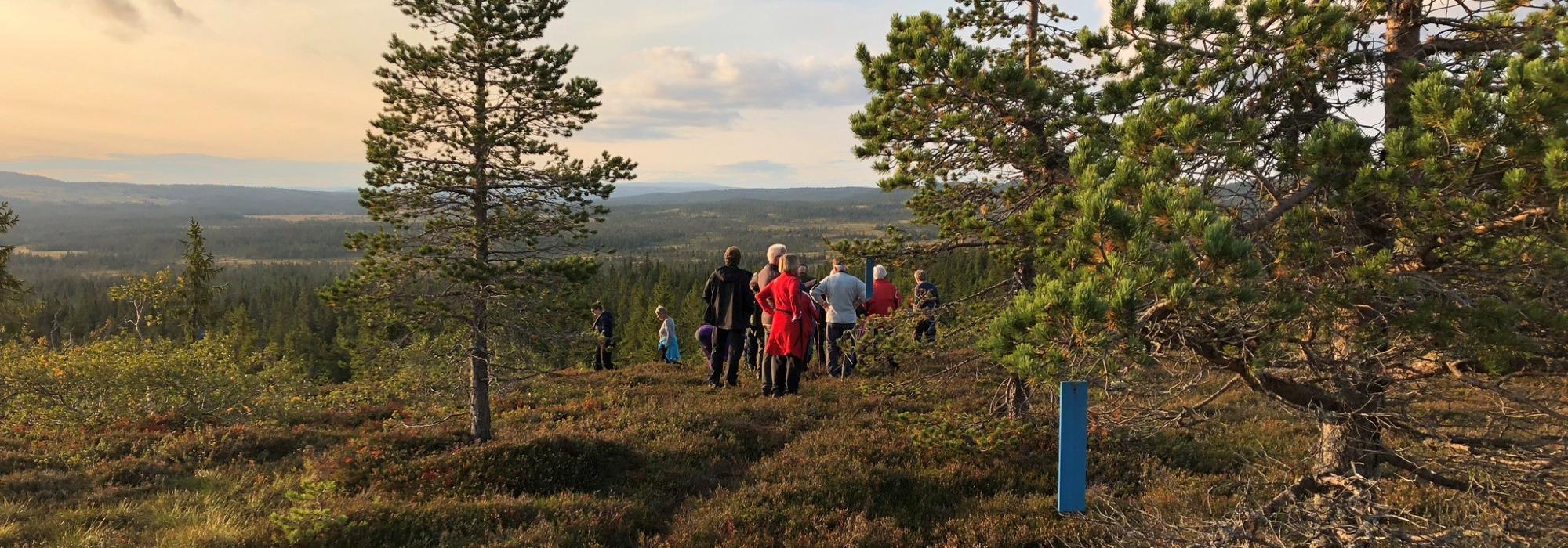 Tirsdagstrampen: Rundtur fra Målia med årsavslutning på Stouslandhytta