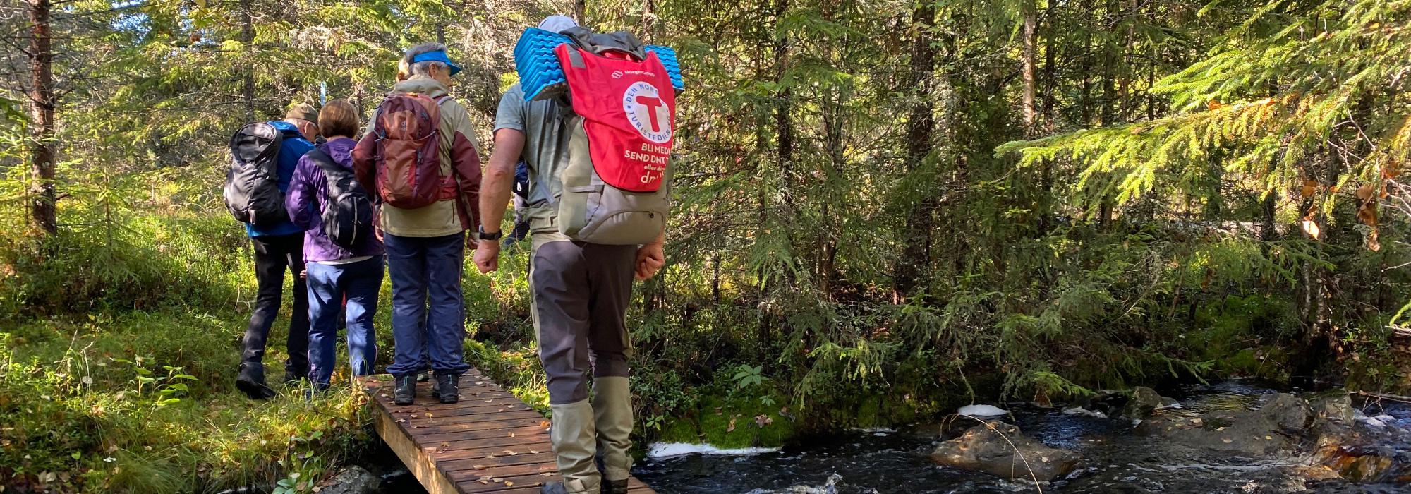 Aktiv i 100, DNT-Odal: Området fra Bjønnberget, Sander.
