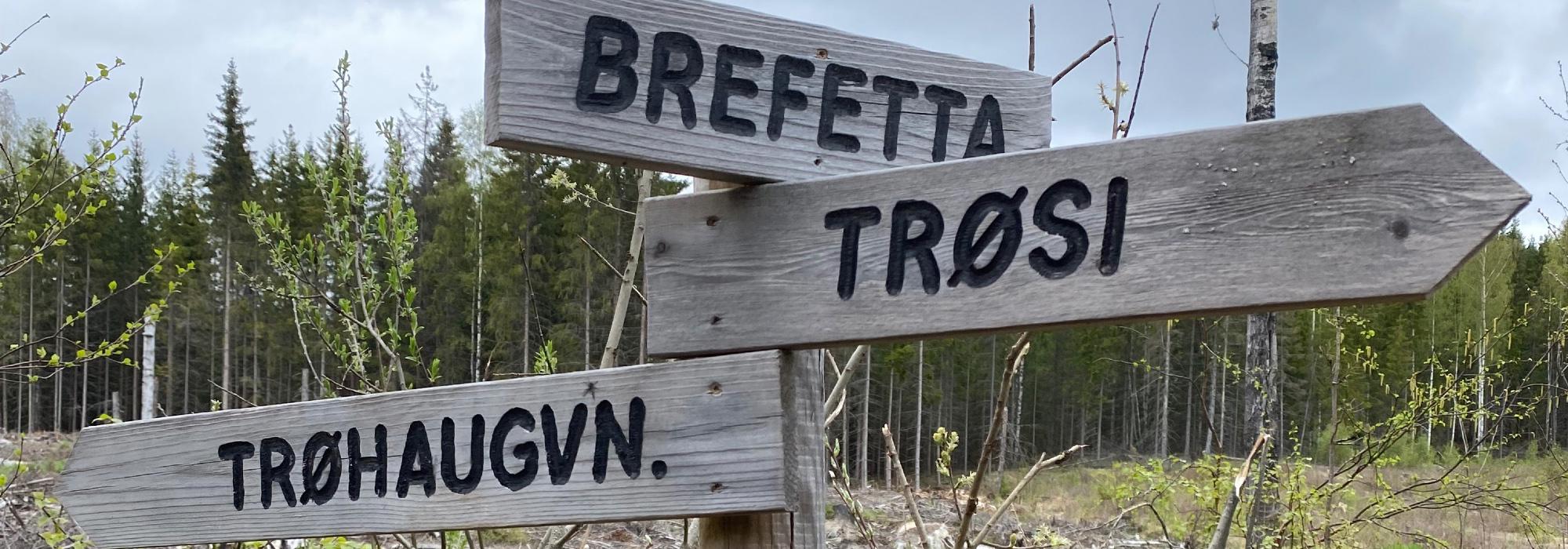 Aktiv i 100, DNT-Odal: Trøsiberget fra Ramsvika