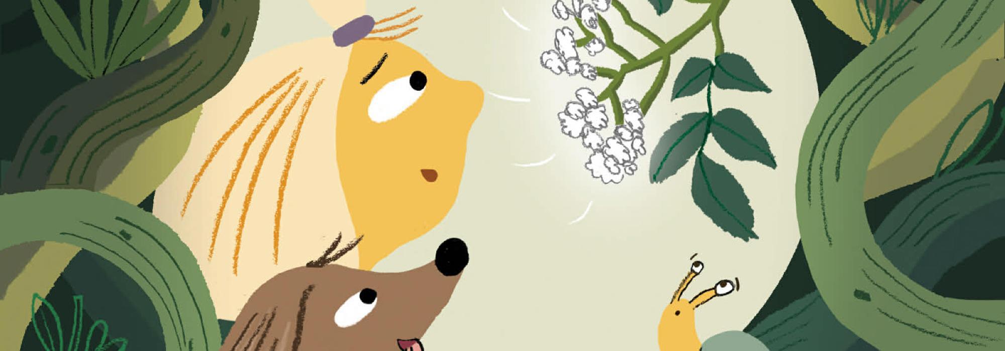 Turboklubb Ammerud med Flora og Multe!