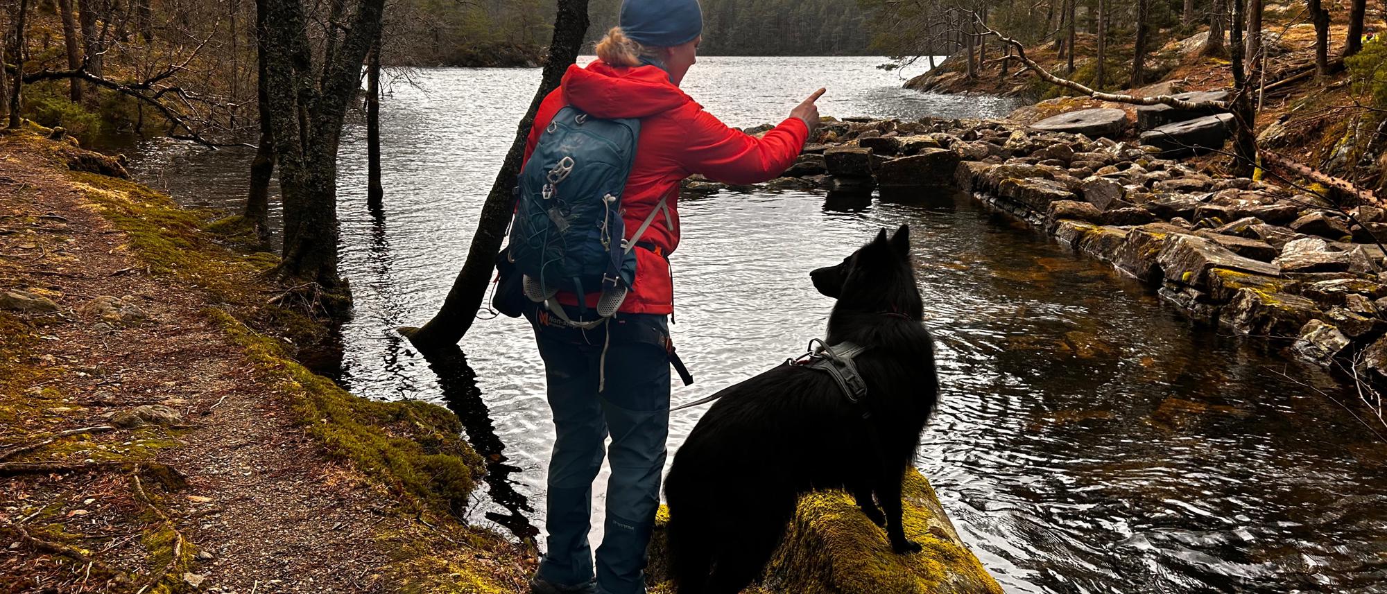 Hundevenner på tur - Bergen - Alvøskogen