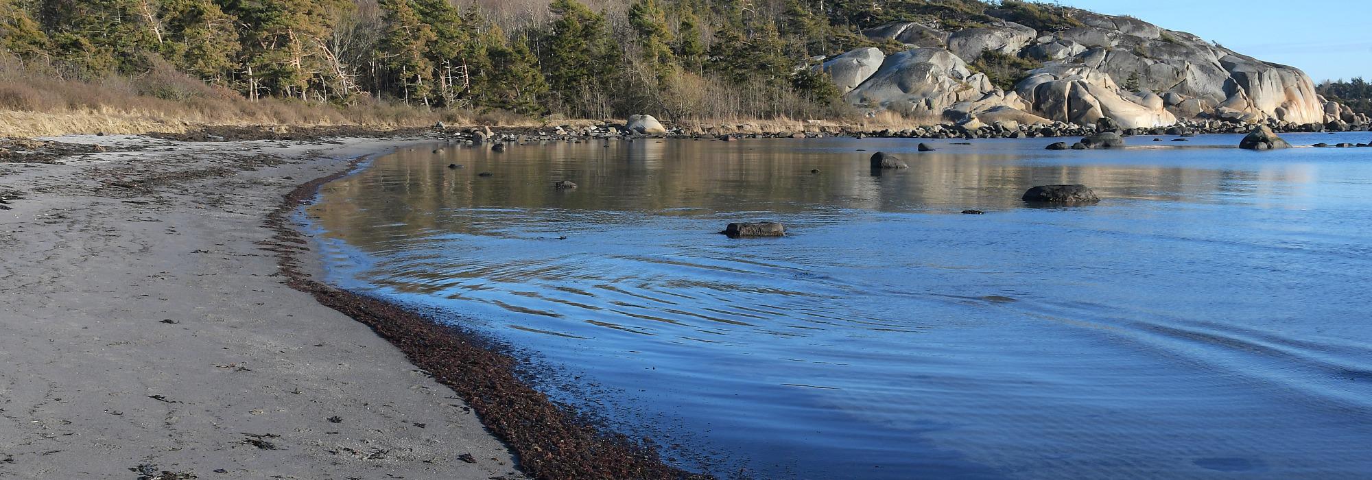 Seniorgruppa:  NB!  Endring:   Tur til Eftang