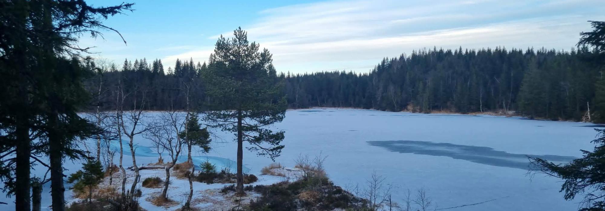 Lørdagstur til Finntjern i Lillomarka