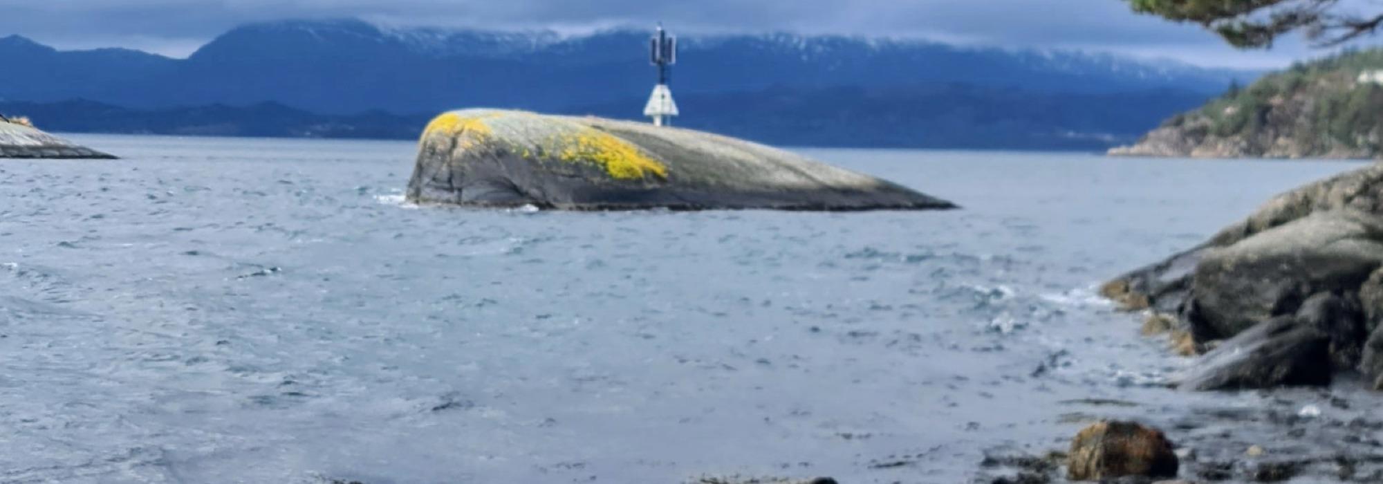 Opsangersneset Turgruppe integrering og språktrening