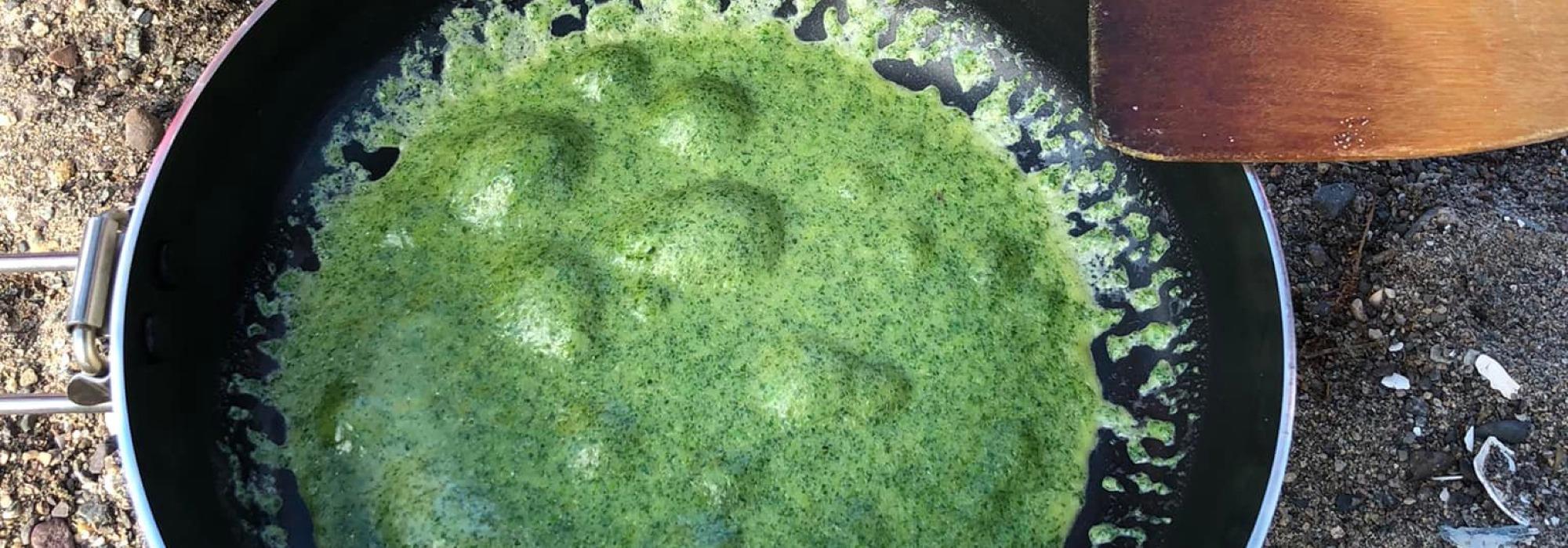 Barnas Turlag - Grønne pannekaker