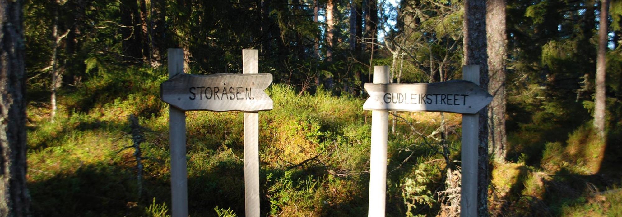 Kveldstur: Storåsen