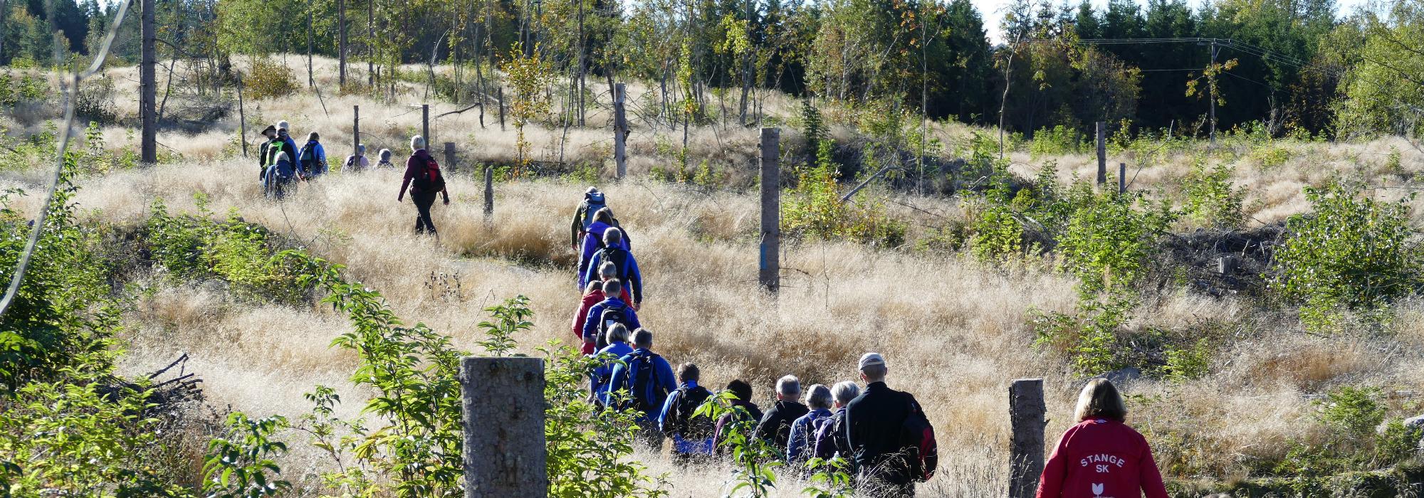 Stasjonsstien Tangen-Stange fottur