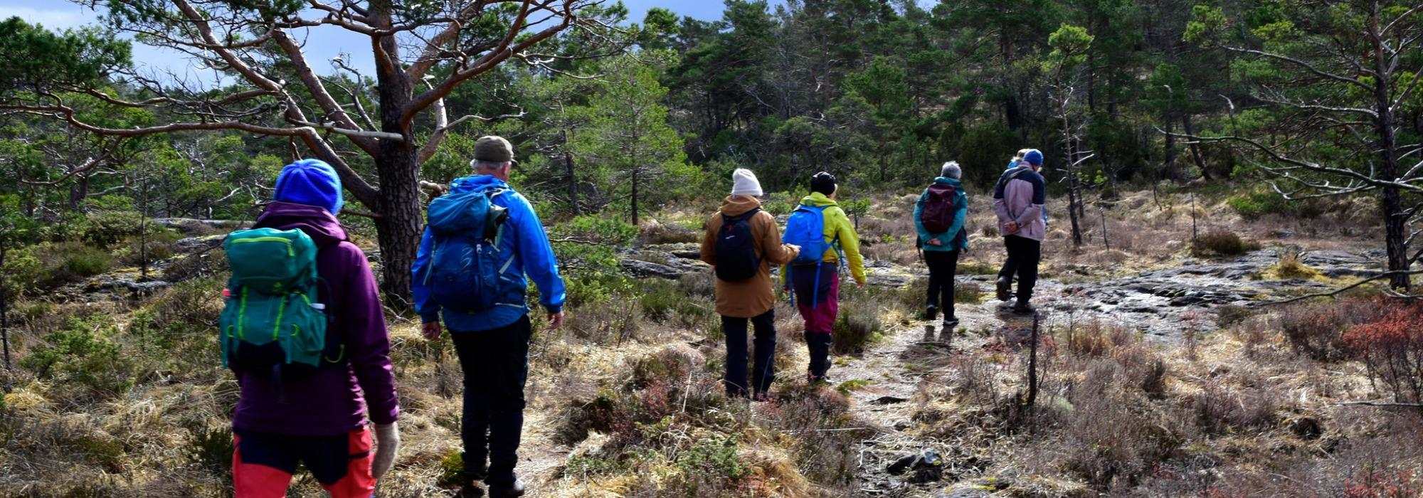 Seniortur til Spåkefjellet