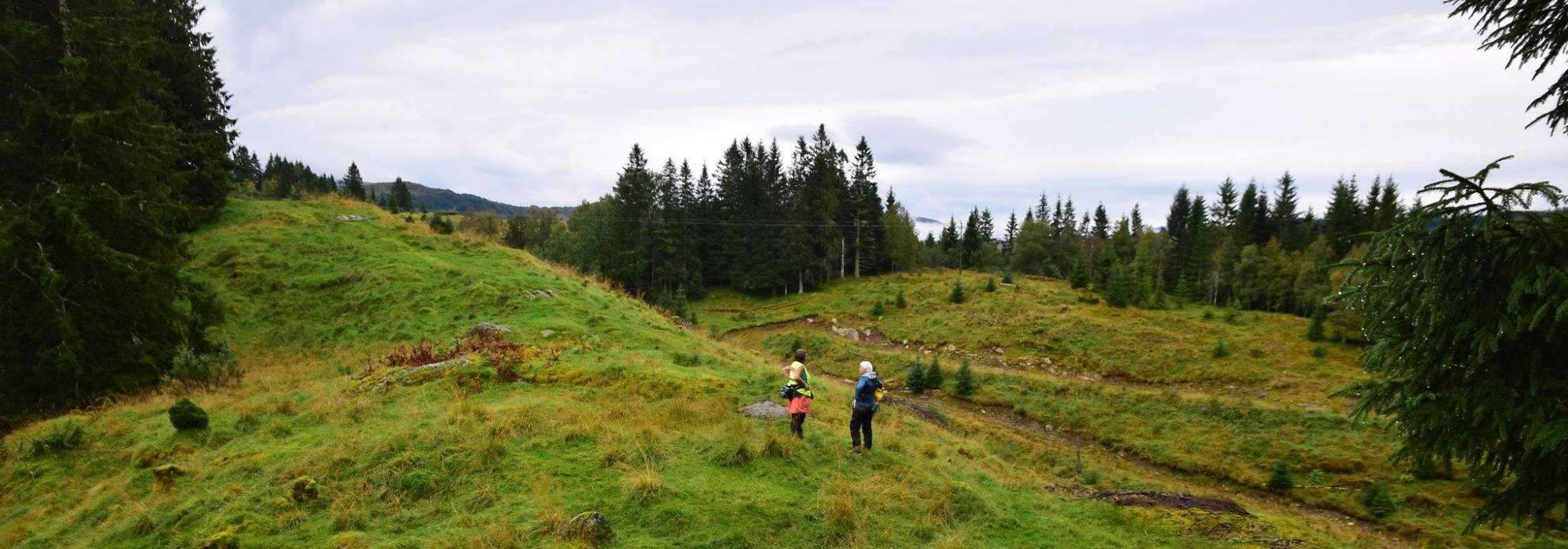 Seniortur frå Krossåsen til Tjellandsåsen