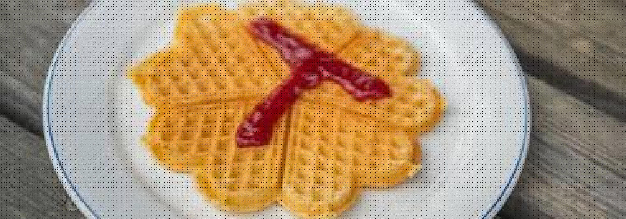 Nærtur fra Tonsenhagen - med vaffeldag på Årvoll gård