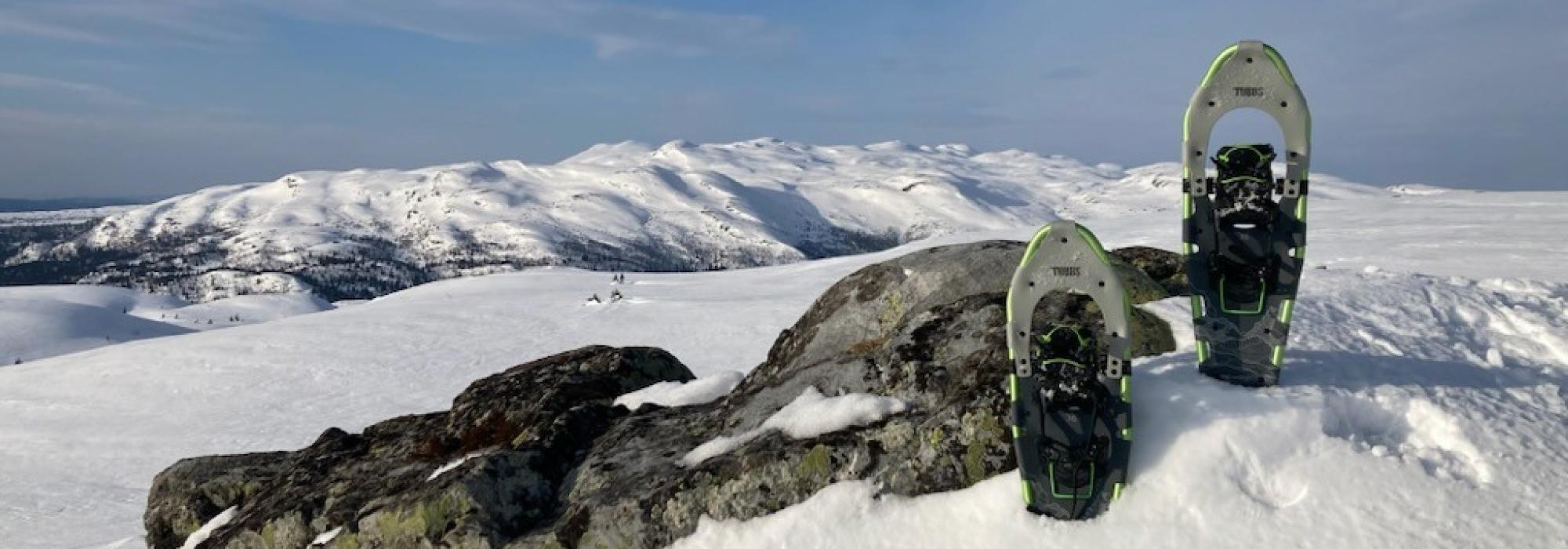 Trugetur på Skjervungfjellet palmesøndag