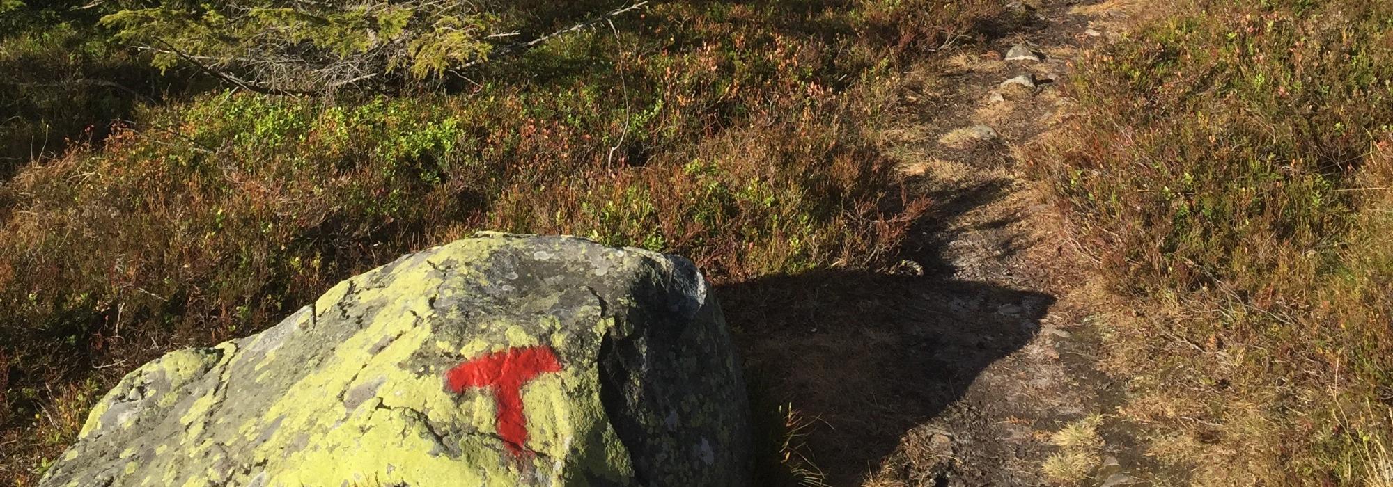 Dagstur til Skreikampen