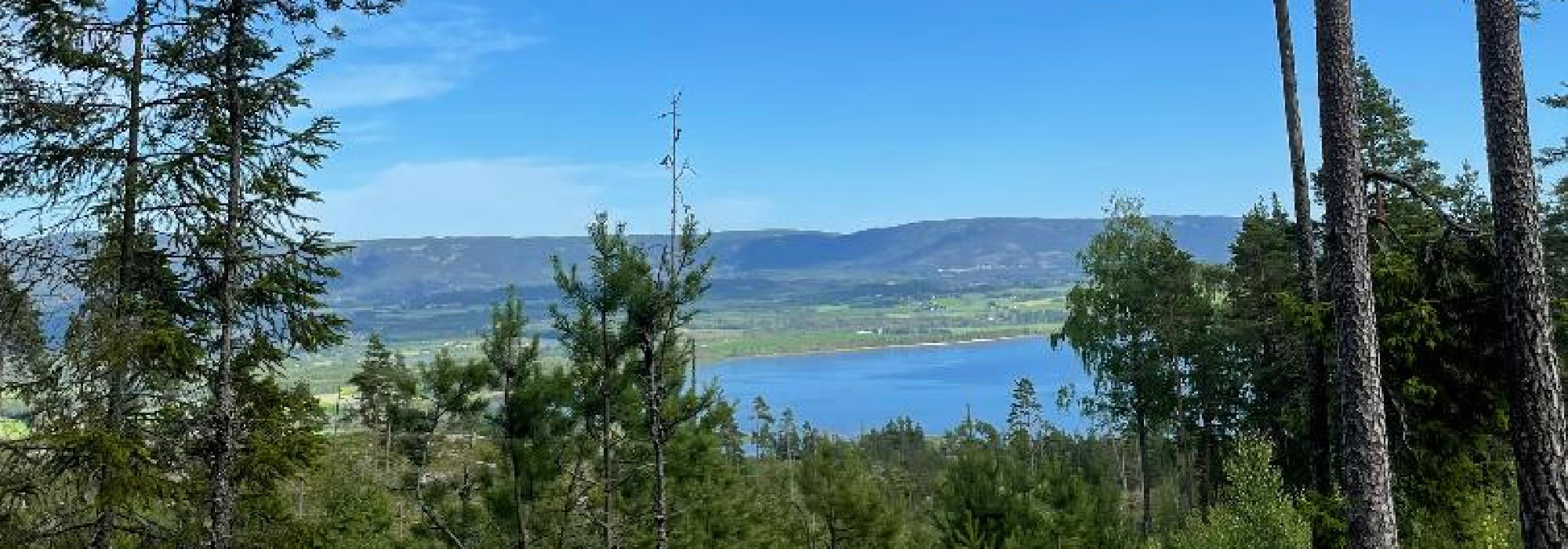 Raudkasthøgda