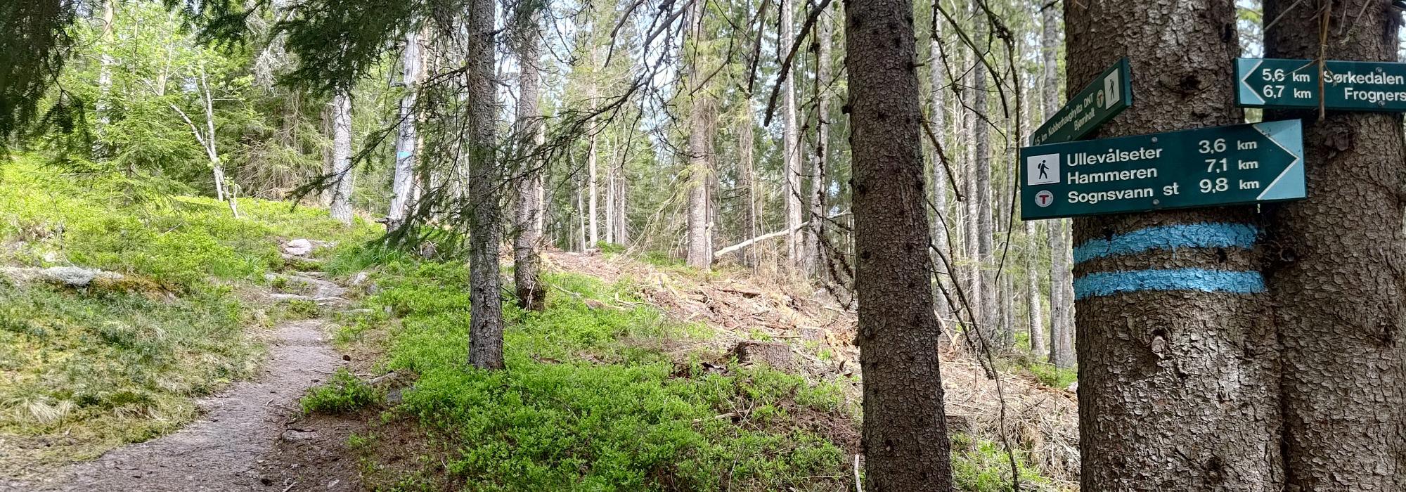 Stiløping med matstopp på Kobberhaughytta