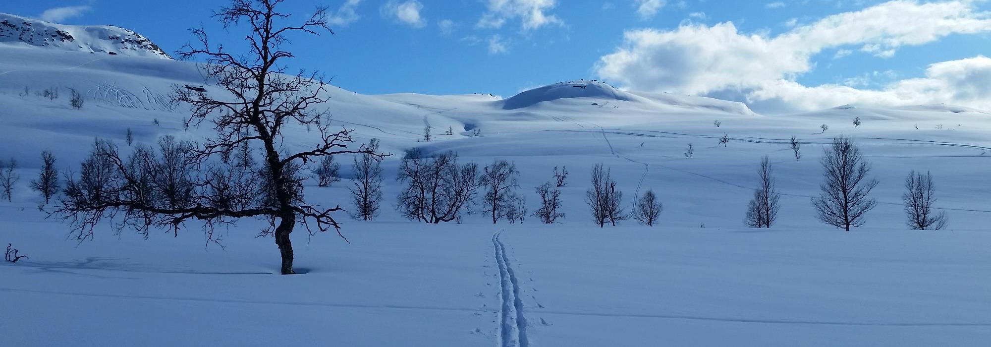 Langtur på ski fra Sørkjosen til Kildalen 19. april 2026